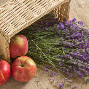 Lavender Apple