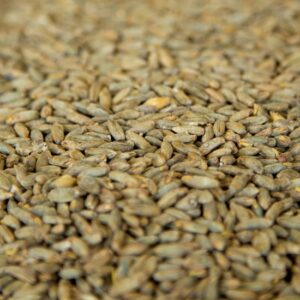 Rye Malt