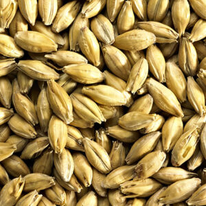 Maris Otter Pale Ale Malt