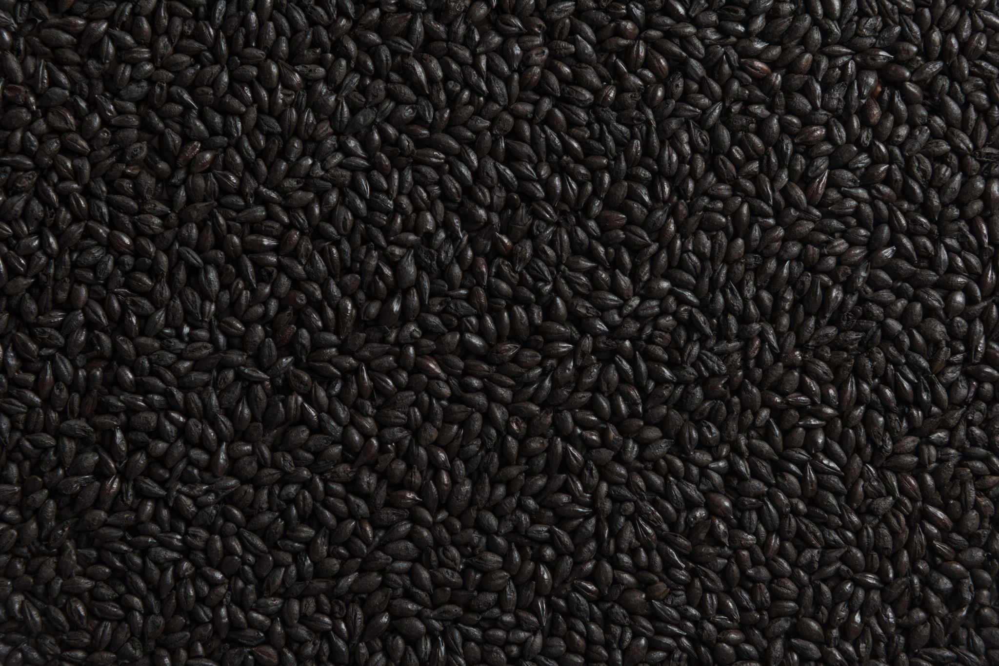 Roasted Barley
