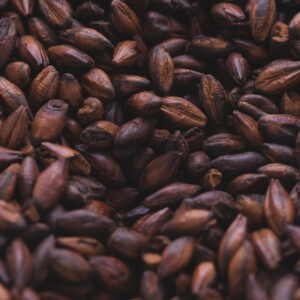 Chocolate Malt