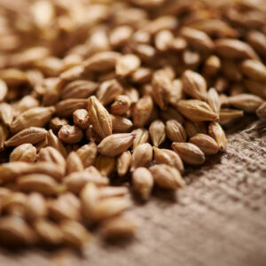 Acidulated Malt