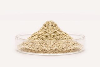 Yeast Nutrient