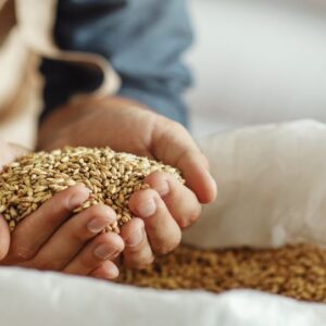 Beech Smoked Barley Malt