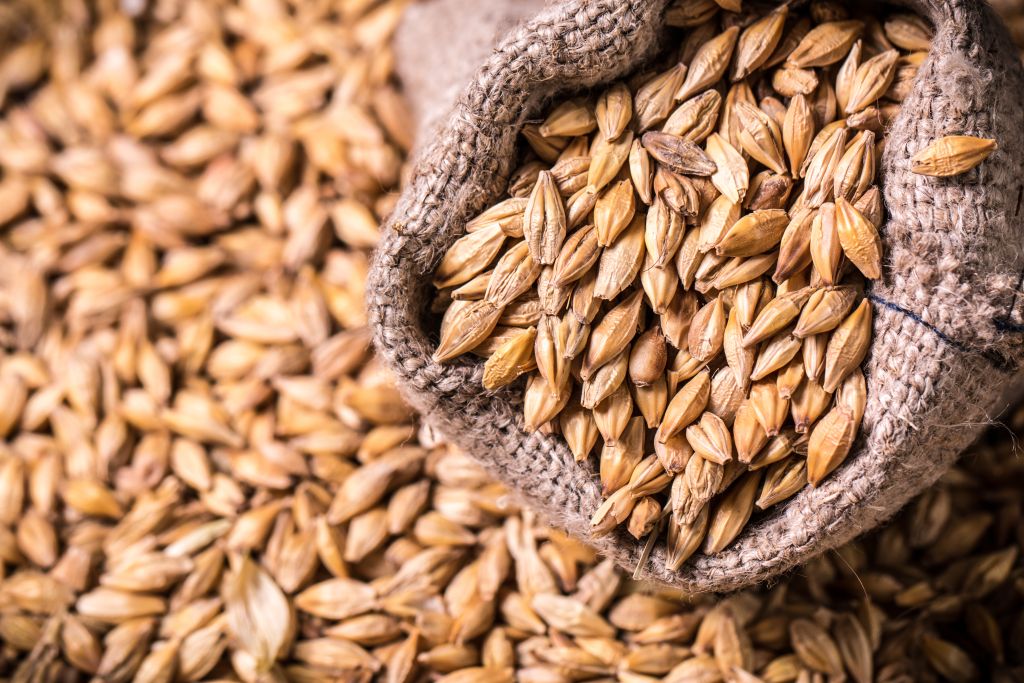 CaraHell Malt