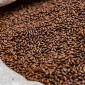 Chocolate Wheat Malt