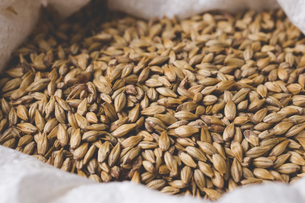 aromatic malt